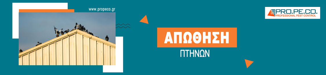 απώθηση περιστεριών