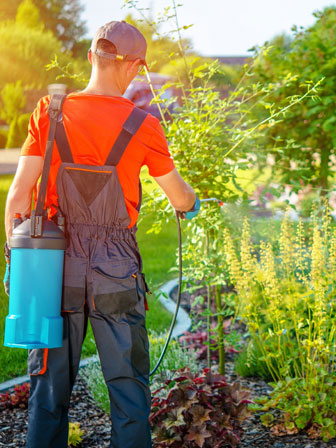 Propeco_psekasmosKipou