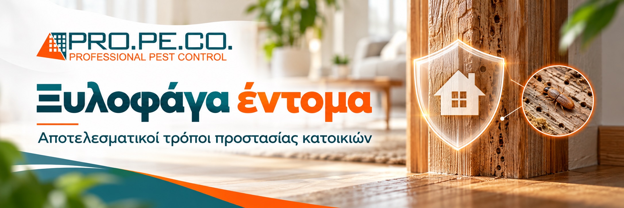 φαγωμένο ξύλο από έντομα
